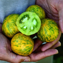 Load image into Gallery viewer, Green Zebra