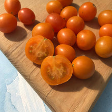 Load image into Gallery viewer, Honey Drop Cherry Tomato 🍯