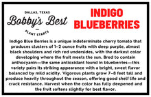 Load image into Gallery viewer, Indigo Blueberries Tomato