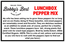 Load image into Gallery viewer, Lunchbox Pepper (Mixed Color)