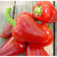 Load image into Gallery viewer, Pimento Sweet Pepper (Fall)