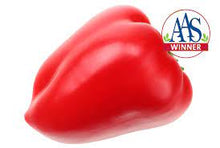 Load image into Gallery viewer, Pimento Sweet Pepper (Fall)