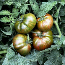 Load image into Gallery viewer, Chocolate Lightning