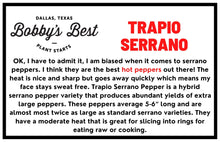Load image into Gallery viewer, Trapio Serrano
