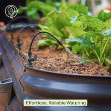 Load image into Gallery viewer, Bobby’s Best Turn-key Garden Bed
