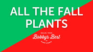 All the Fall Plants