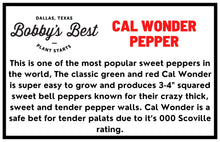 Load image into Gallery viewer, Cal Wonder Sweet Pepper
