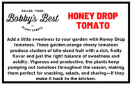Honey Drop Cherry Tomato 🍯