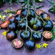 Load image into Gallery viewer, Indigo Blueberries Tomato
