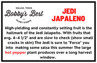 Jedi Jalapeno (Fall)