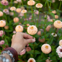 Load image into Gallery viewer, Floret  Flower Farm - Little Flower Girl

