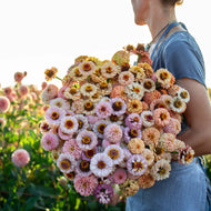 Floret  Flower Farm - Little Flower Girl
