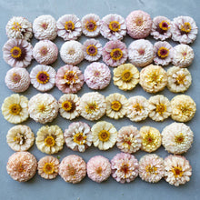 Load image into Gallery viewer, Floret  Flower Farm - Little Flower Girl

