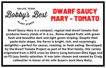 Load image into Gallery viewer, Dwarf Saucy Mary Tomato
