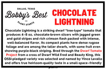 Load image into Gallery viewer, Chocolate Lightning
