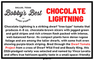 Chocolate Lightning