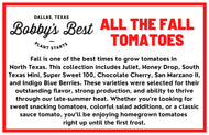 All the Fall Tomatoes