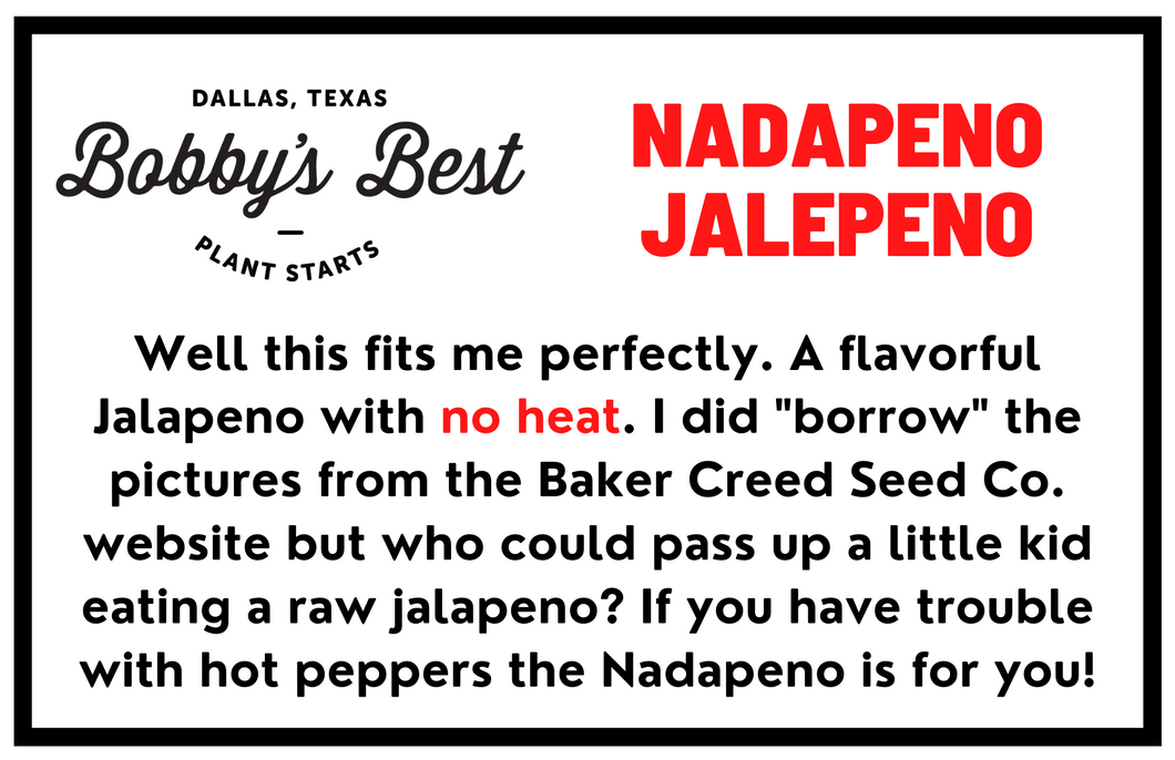 Nadapeno Jalapeno