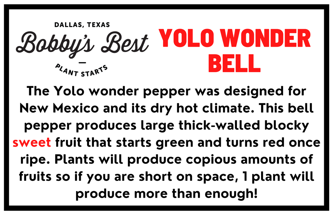 Yolo Wonder Bell Pepper