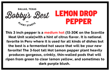 Load image into Gallery viewer, Lemon Drop Pepper
