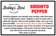 Shishito Pepper