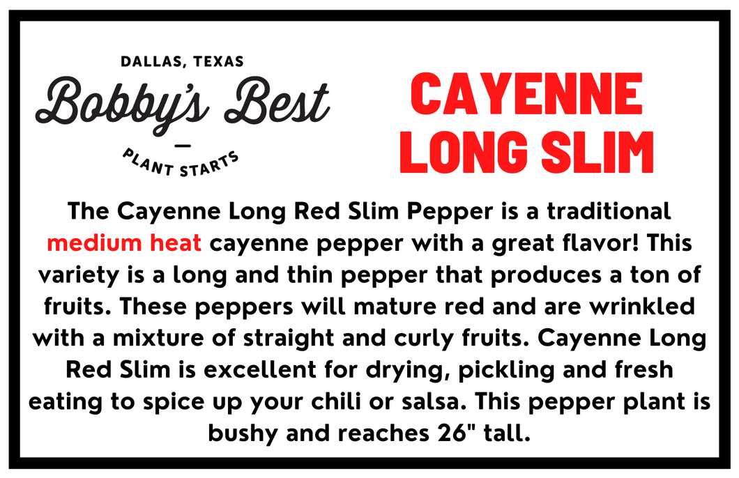 Cayenne Pepper Long Slim
