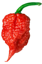 Load image into Gallery viewer, Carolina Reaper
