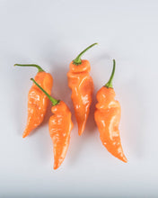 Load image into Gallery viewer, Habanada Habanero
