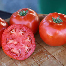 Load image into Gallery viewer, Red Snapper Tomato
