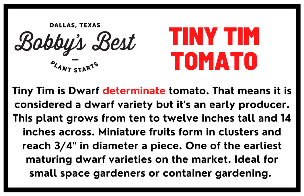 Tiny Tim Tomato