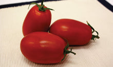 Load image into Gallery viewer, Tachi Tomato
