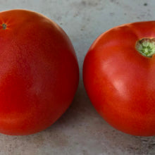 Load image into Gallery viewer, Red Snapper Tomato
